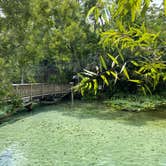 Review photo of Wekiwa Springs State Park Campground by Alyssa D., July 11, 2020