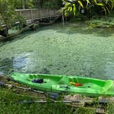 Review photo of Wekiwa Springs State Park Campground by Alyssa D., July 11, 2020