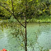 Review photo of Wekiwa Springs State Park Campground by Alyssa D., July 11, 2020