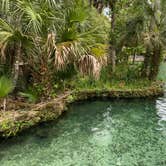 Review photo of Wekiwa Springs State Park Campground by Alyssa D., July 11, 2020