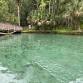 Review photo of Wekiwa Springs State Park Campground by Alyssa D., July 11, 2020