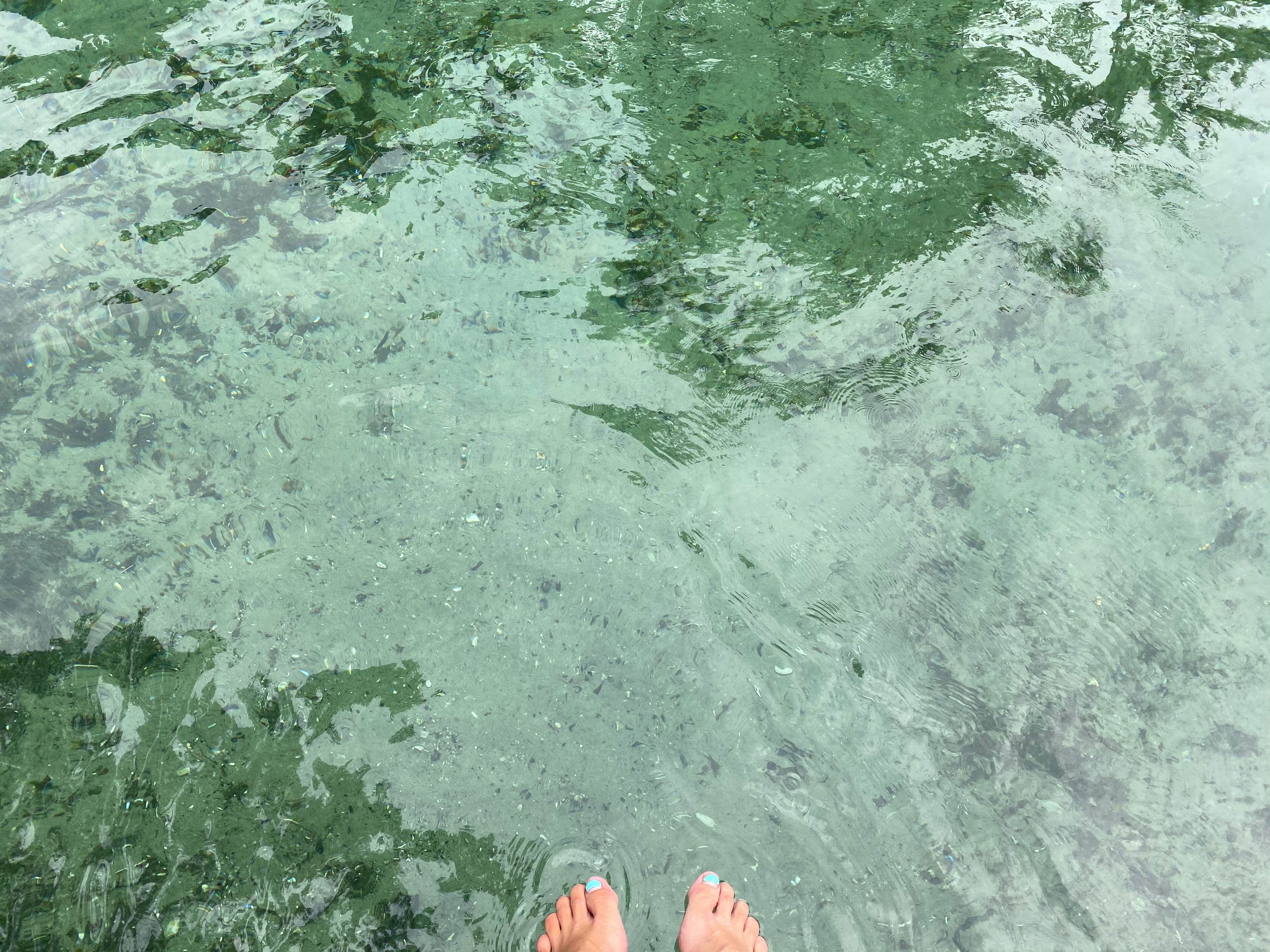 Camper-submitted photo at Wekiwa Springs State Park Campground near Bunnell, FL