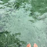 Review photo of Wekiwa Springs State Park Campground by Alyssa D., July 11, 2020