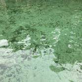 Review photo of Wekiwa Springs State Park Campground by Alyssa D., July 11, 2020