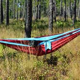 Review photo of Topsail Hill Preserve State Park Campground by Nancy W., January 17, 2018