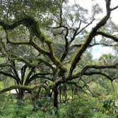 Review photo of Wekiwa Springs State Park Campground by Alyssa D., July 11, 2020