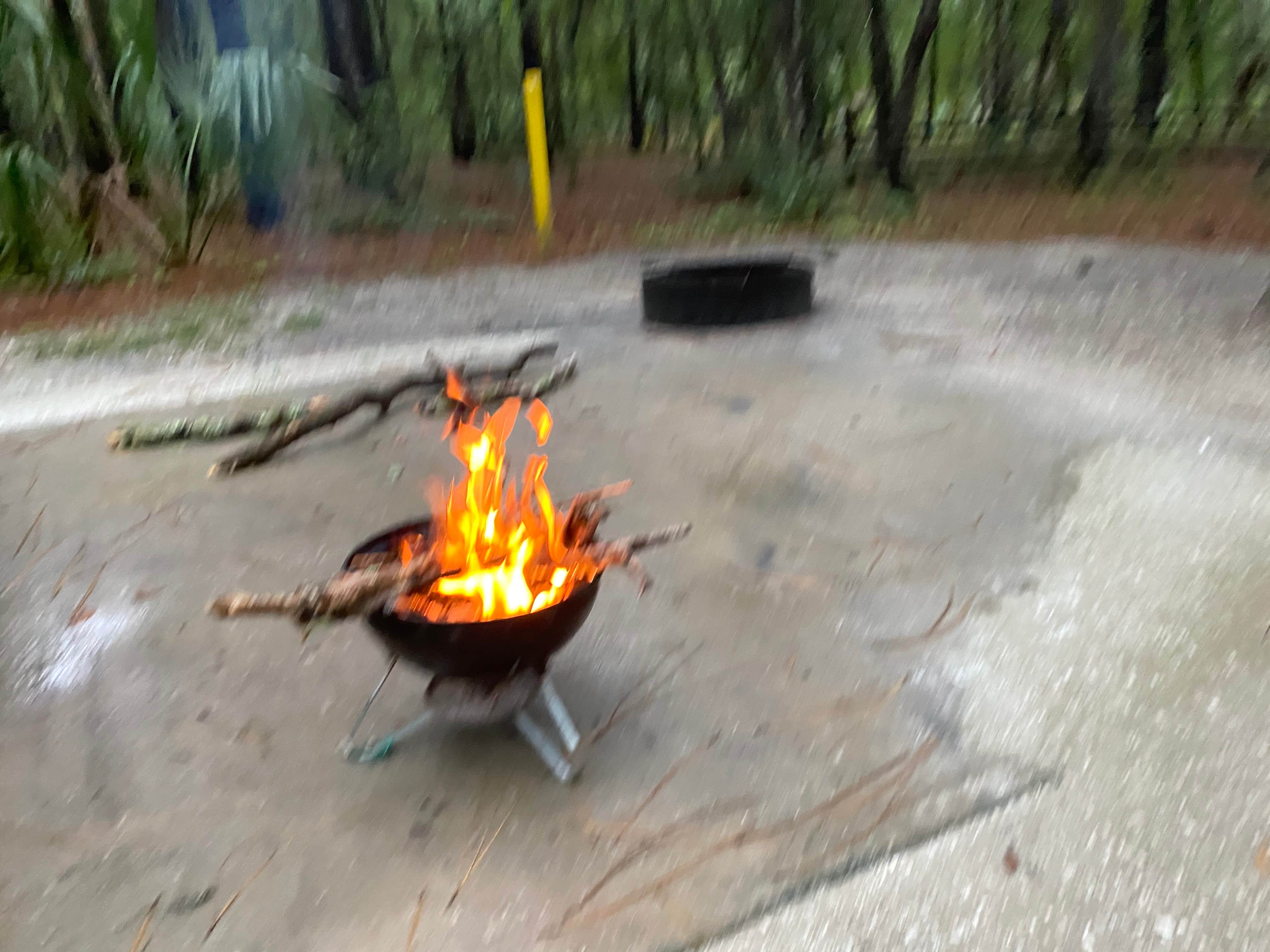Camper submitted image from Kelly Park Campground - 4