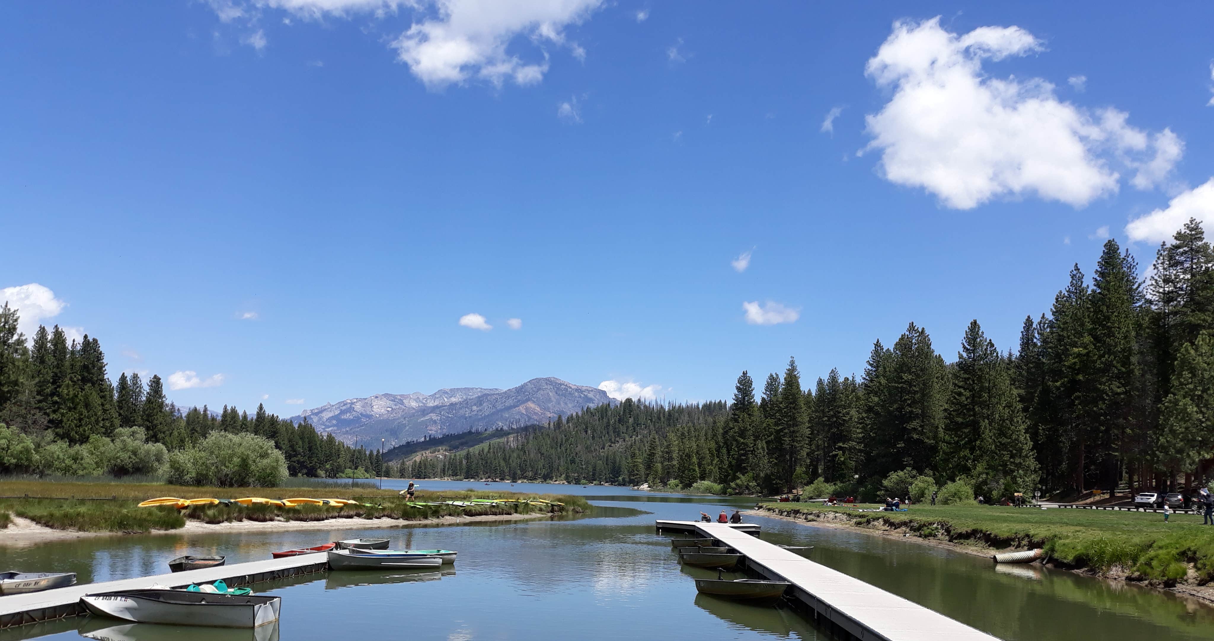 Sequoia Hume Lake The Dyrt