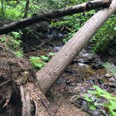 Review photo of Liberty Lake Regional Park by Deanna D., July 12, 2020