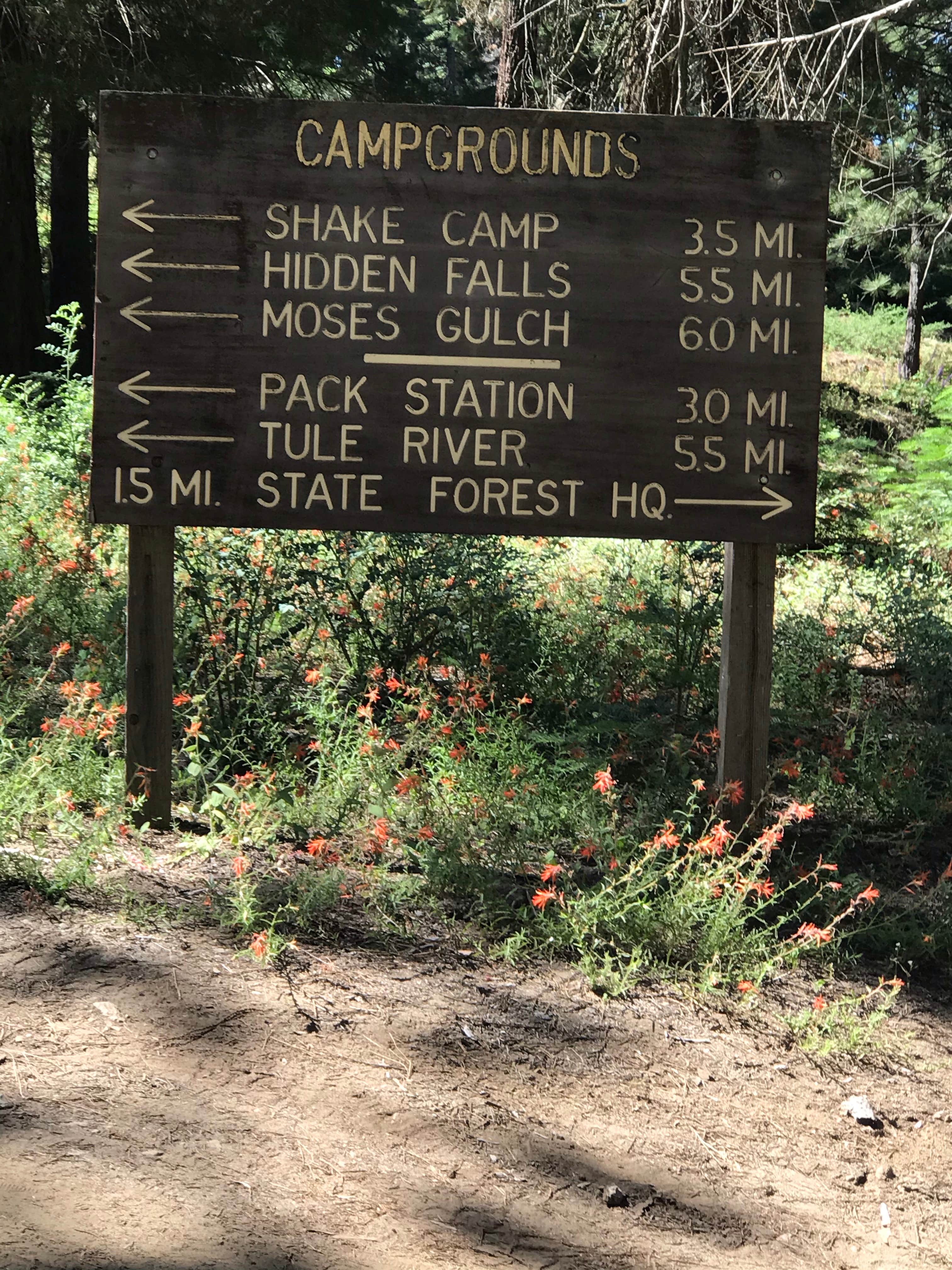 Camper-submitted photo at Moses Gulch - State Forest near Pixley, CA