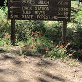 Review photo of Moses Gulch - State Forest by John B., July 12, 2020