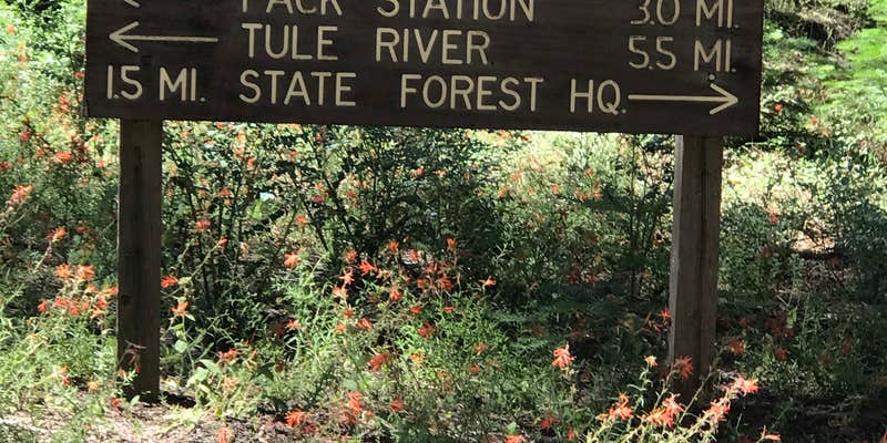 Camper submitted image from Moses Gulch - State Forest