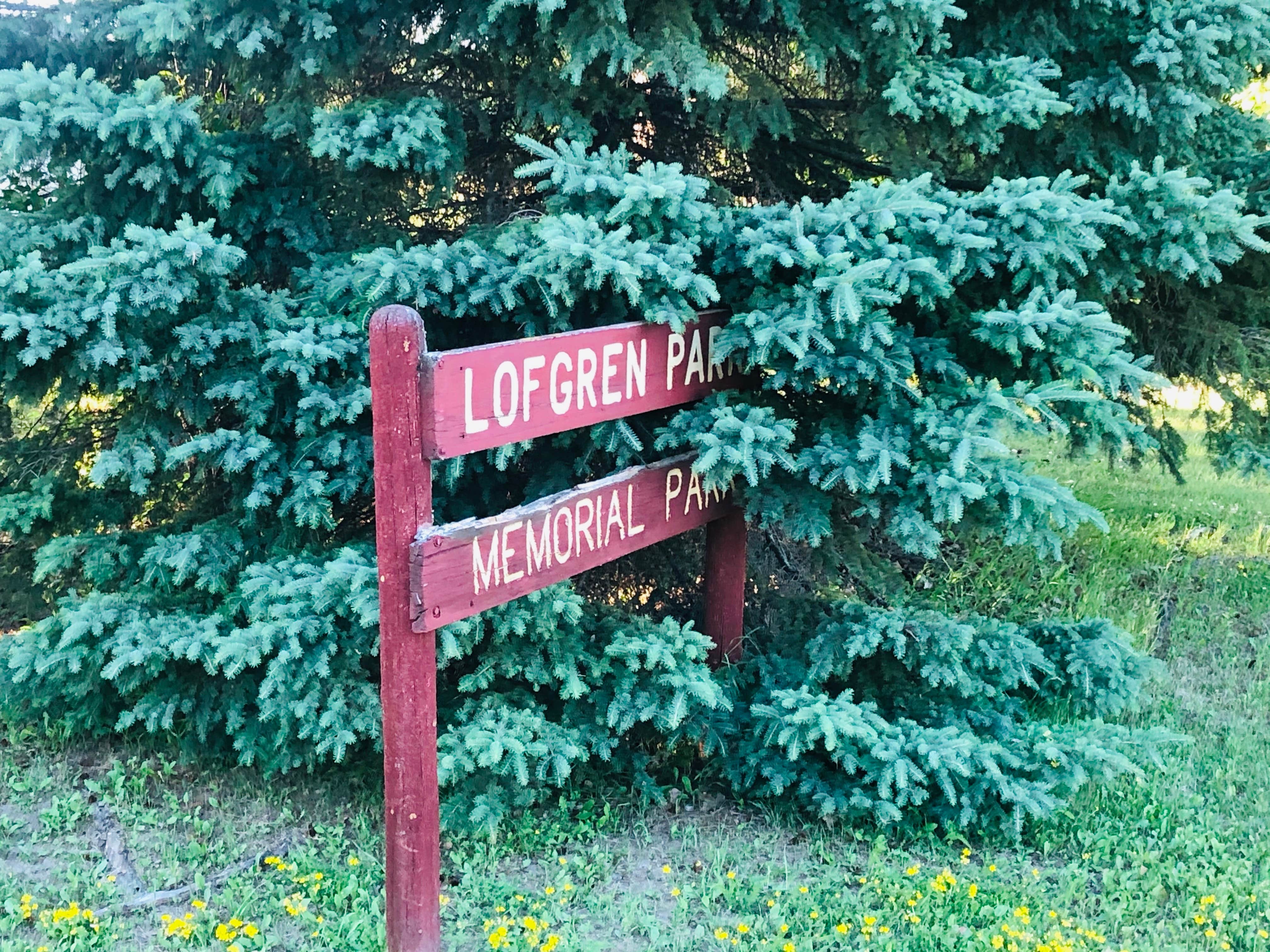 Camper-submitted photo at Lofgren Memorial Park near Voyageurs National Park