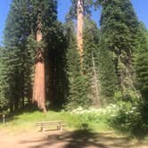 Review photo of Balch Park Campground by John B., July 12, 2020