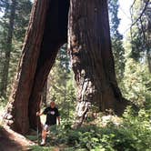 Review photo of Balch Park Campground by John B., July 12, 2020