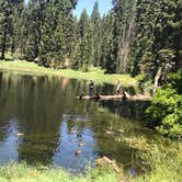 Review photo of Balch Park Campground - TEMPORARILY CLOSED by John B., July 12, 2020