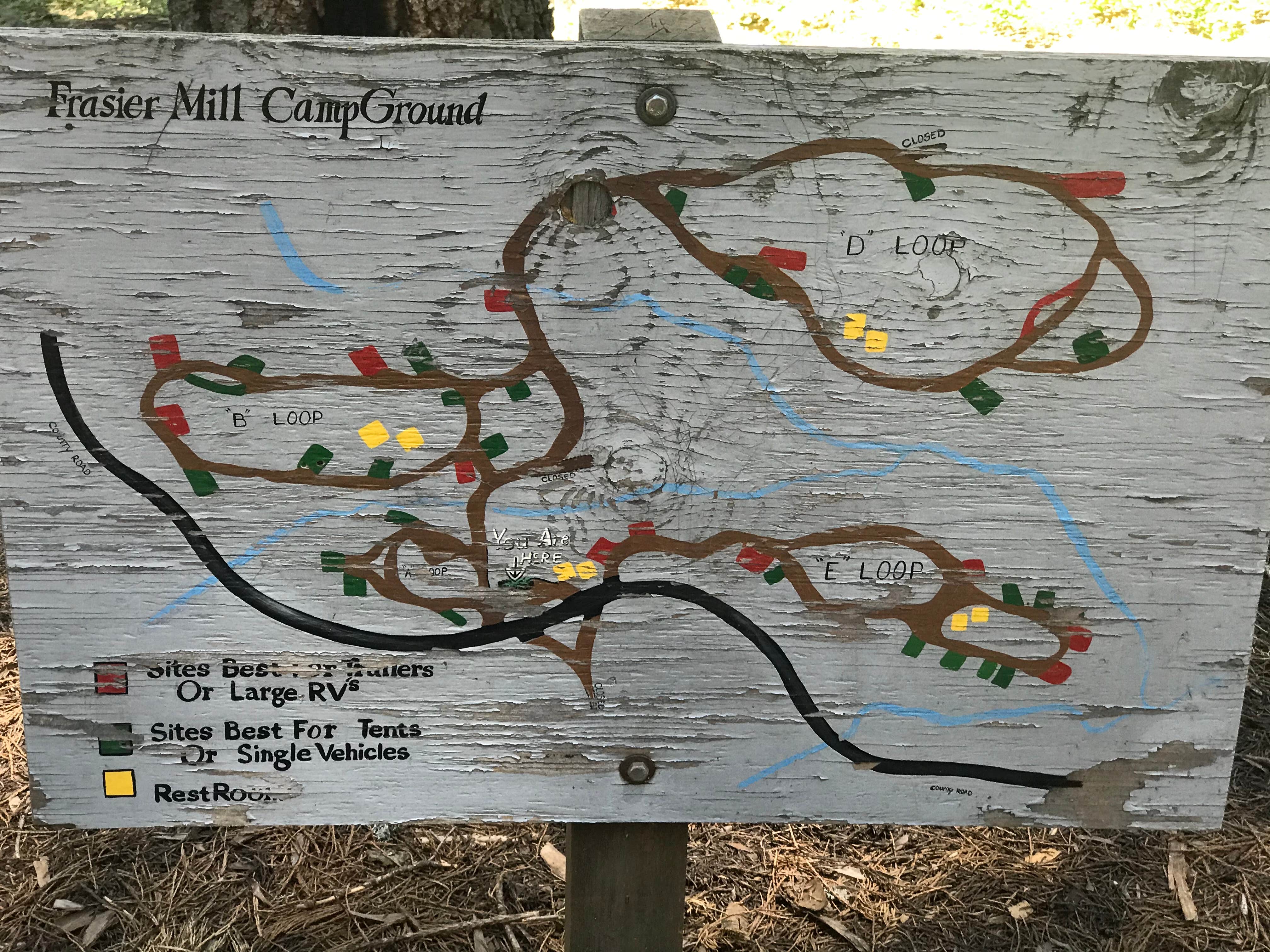 Camper submitted image from Balch Park Campground - 2