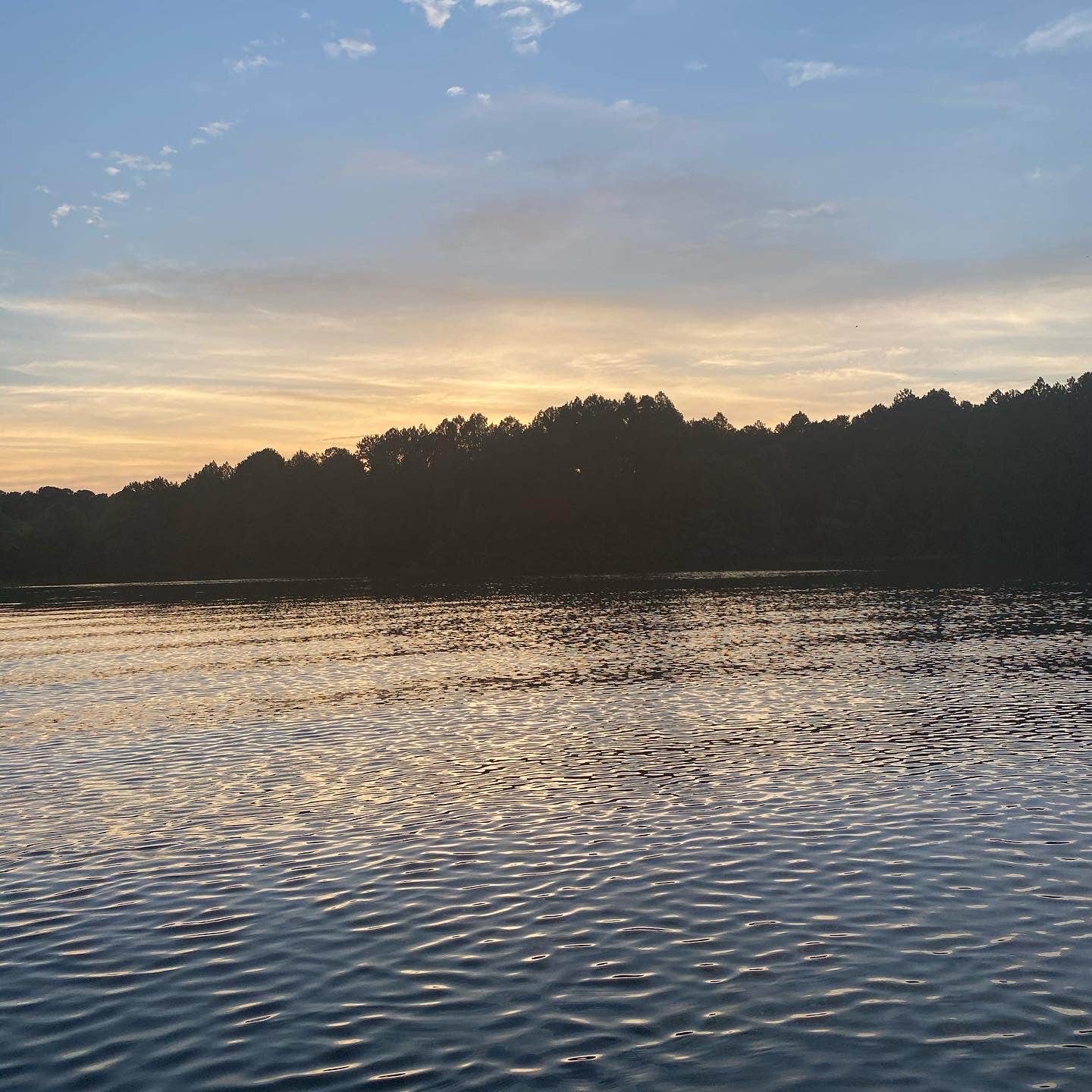 Camper-submitted photo at Twiltley Branch near Enterprise, MS