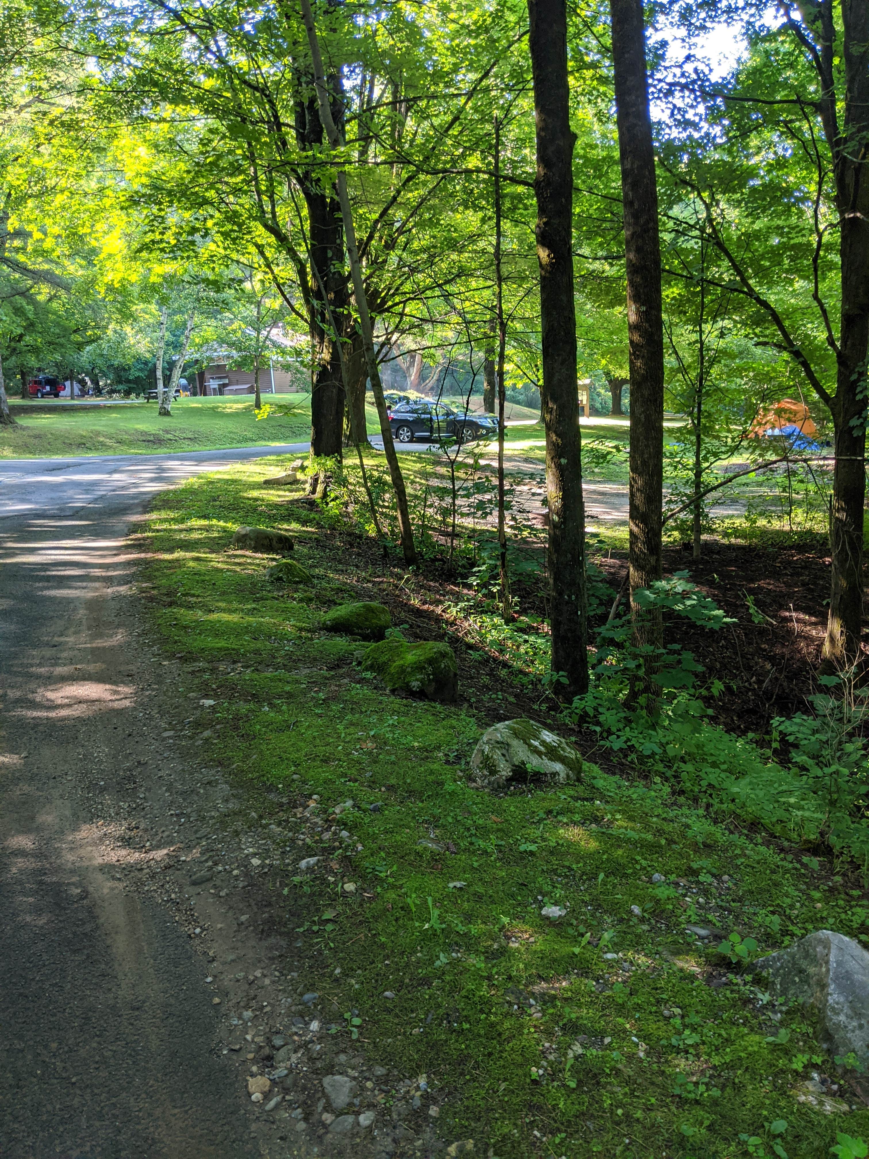 Camper submitted image from October Mountain State Forest - 4