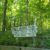 Review photo of Mt Gilead State Park Campground by Julie R., July 12, 2020