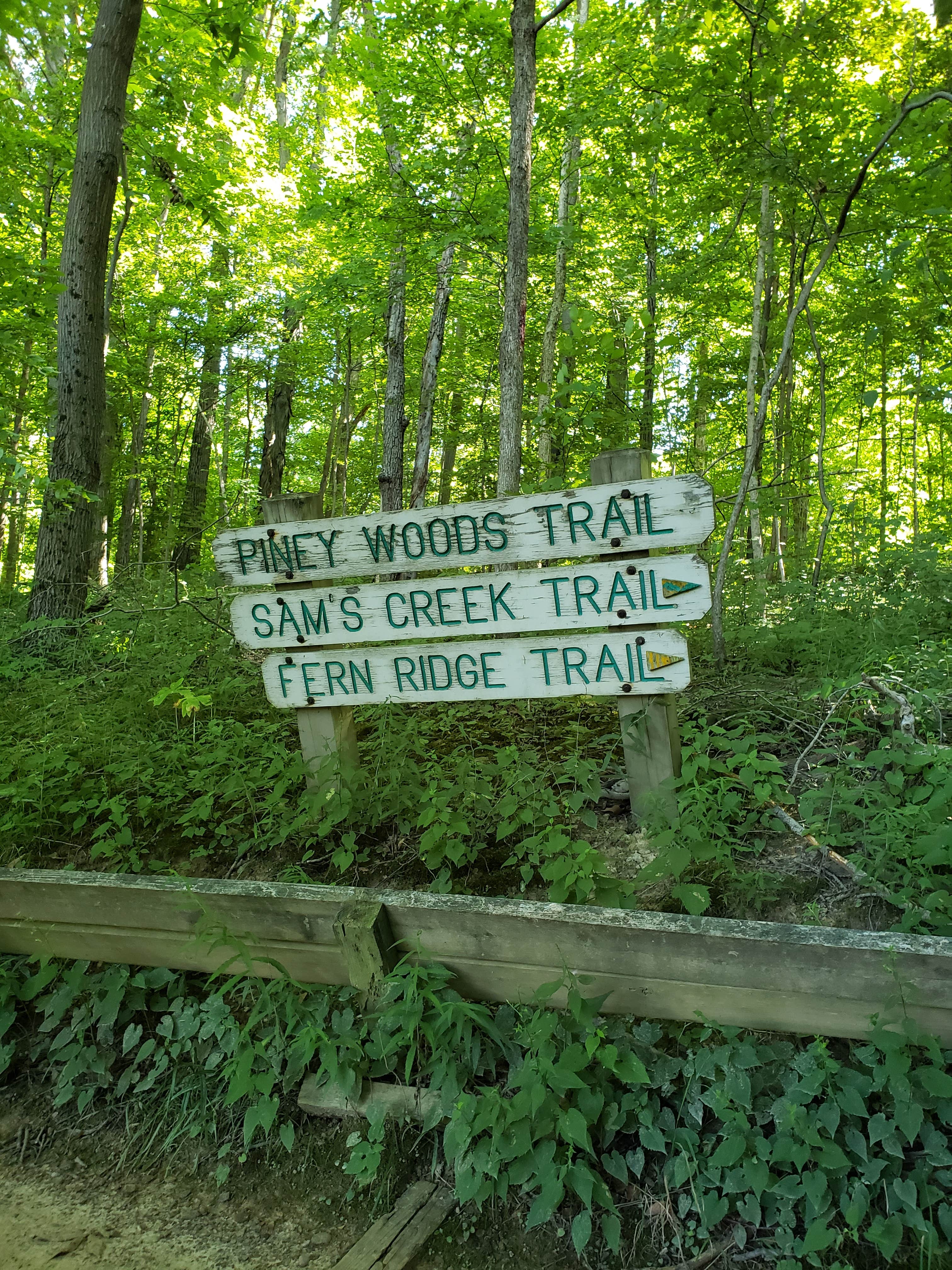 Camper submitted image from Mt Gilead State Park Campground - 5