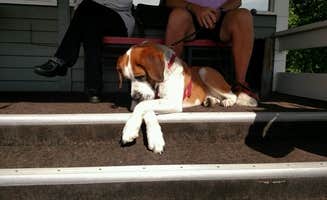 Tom A.'s photo of camping with pets at Sage Hills Golf Club & RV Resort near Richland, WA
