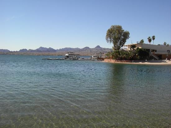 Camper submitted image from Lake Havasu State Park Campground - 5