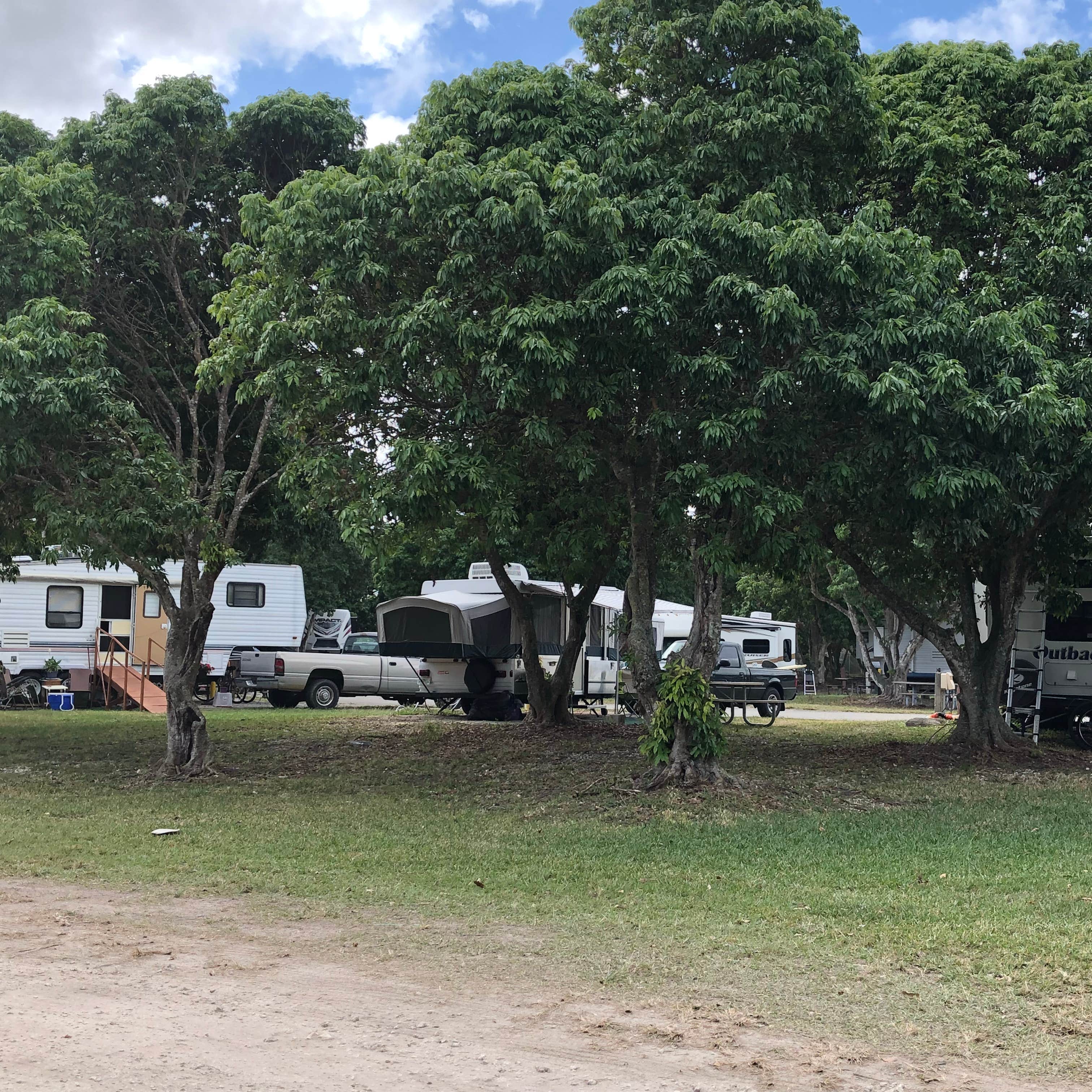 Larry & Penny Thompson Park Camping The Dyrt