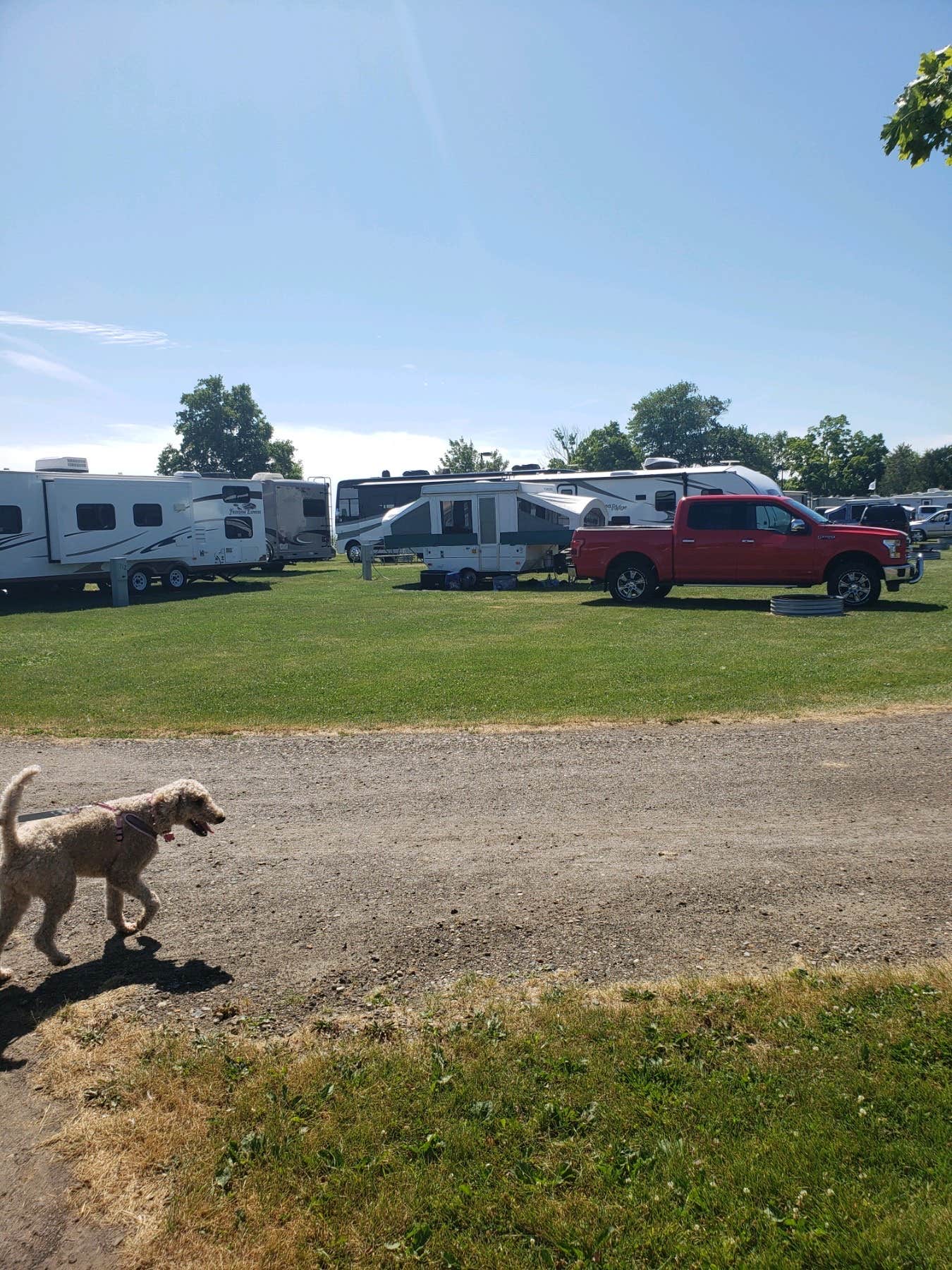 Josh D.'s photo of camping with pets at Lighthouse Park (Huron County Park) near Cass City, MI