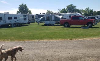 Josh D.'s photo of camping with pets at Lighthouse Park (Huron County Park) near Port Hope, MI