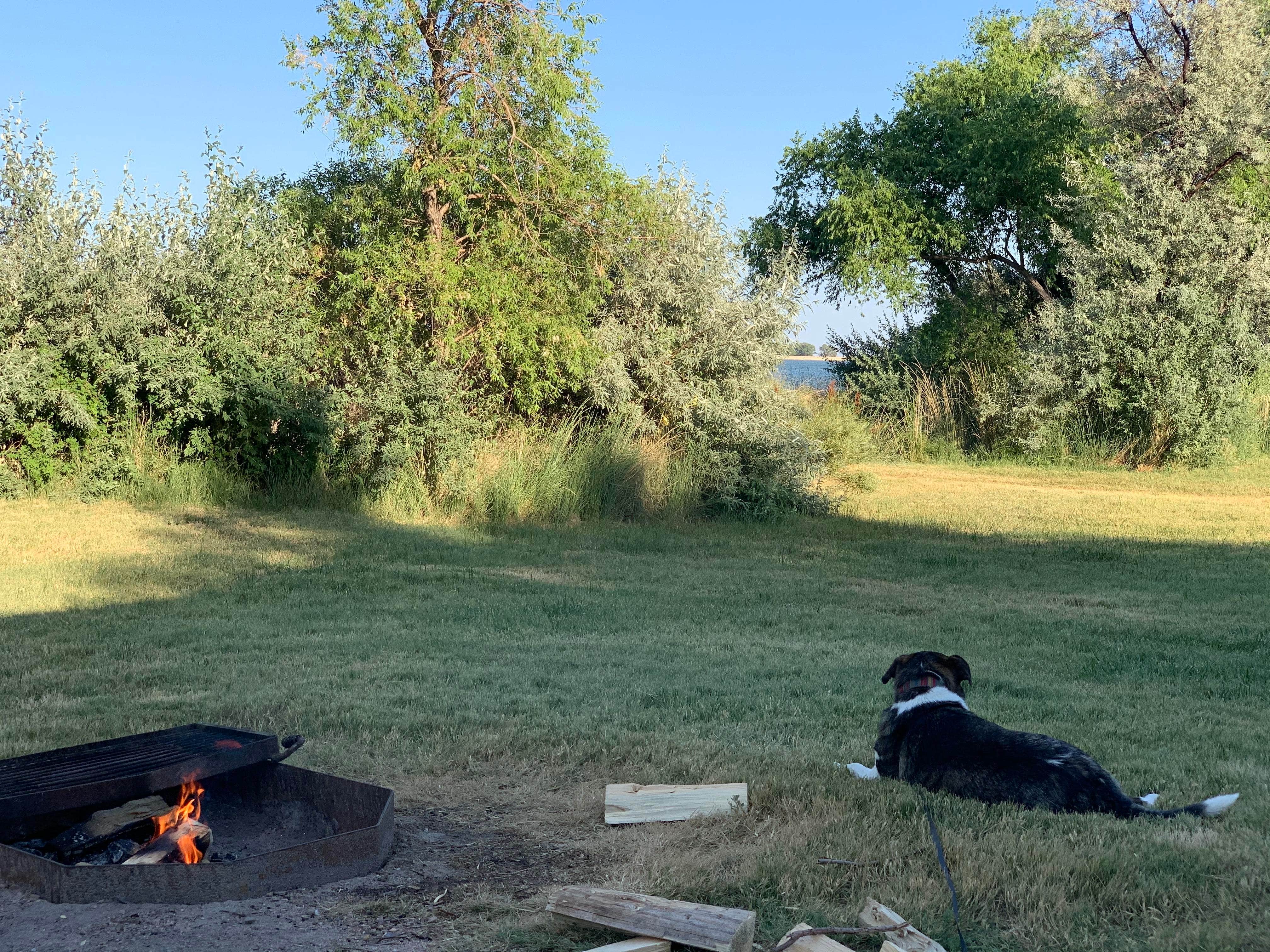 Shawn S.'s photo of camping with pets at Jackson Lake State Park Campground near Orchard, CO