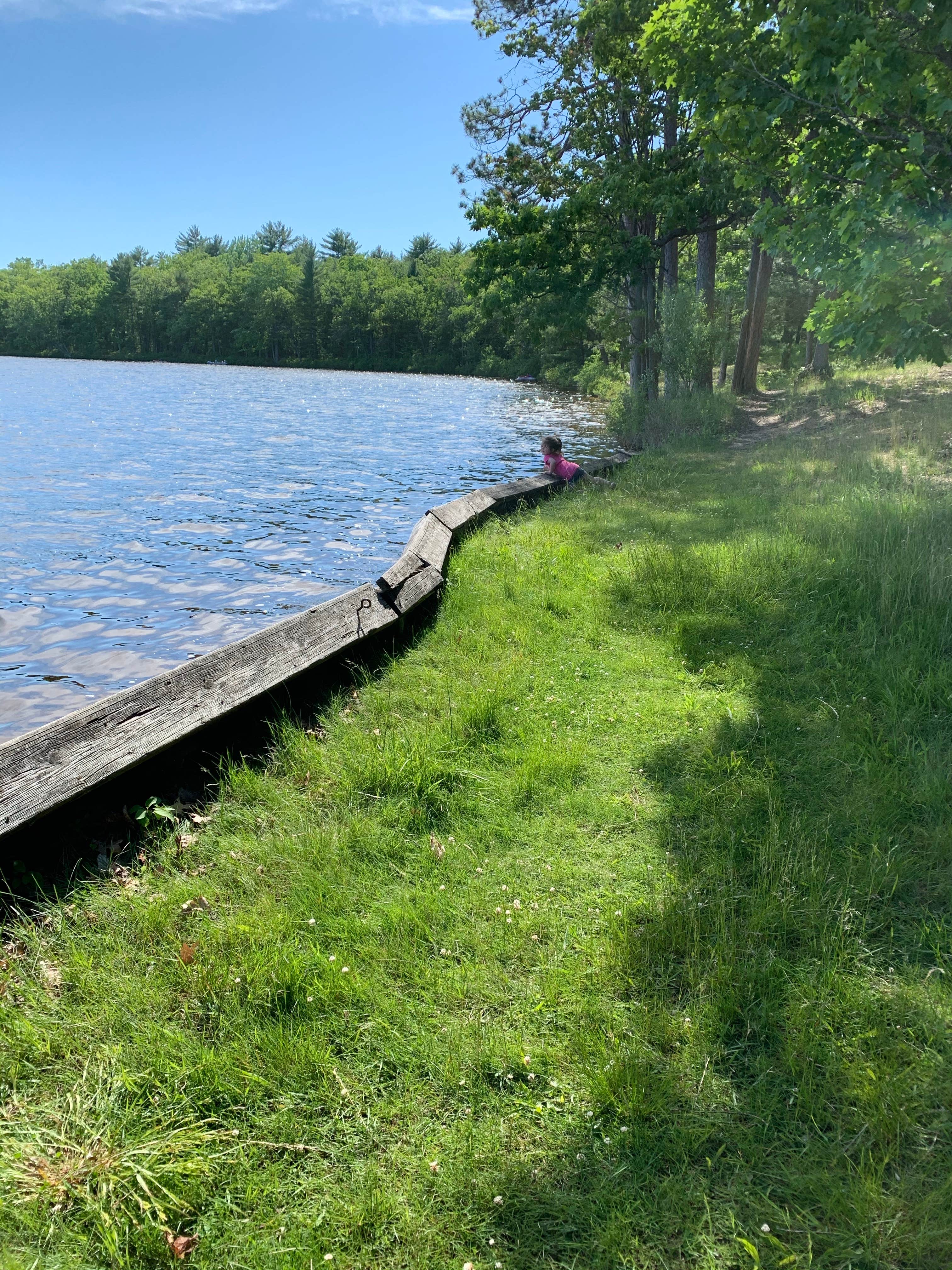 Camper-submitted photo at Round Lake State Forest Campground near Johannesburg, MI