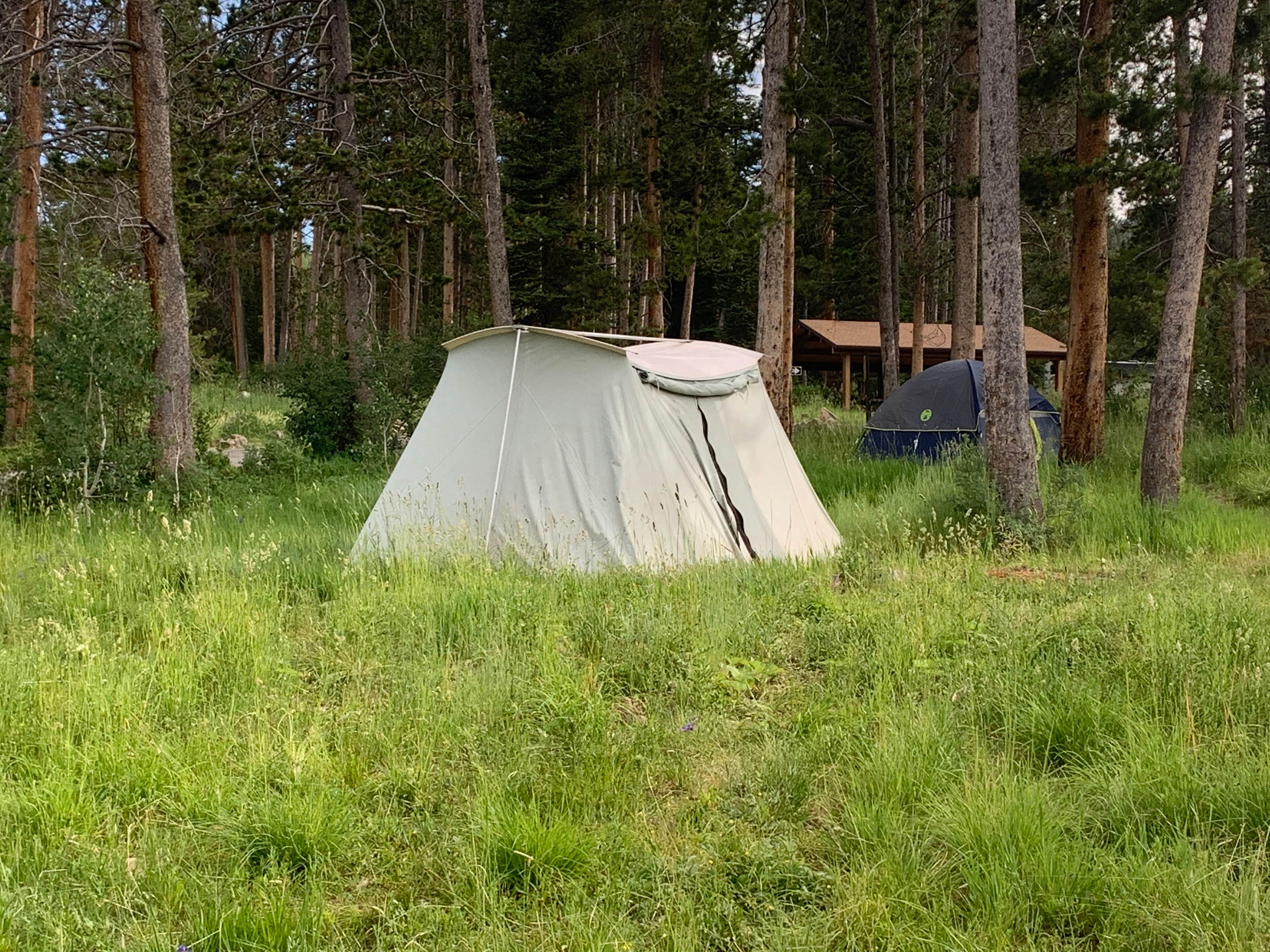 Andy C.'s photo at Lodgepole Campground near Wallsburg, UT