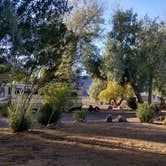 Review photo of Boulder Beach Campground — Lake Mead National Recreation Area by Colette K., September 1, 2017