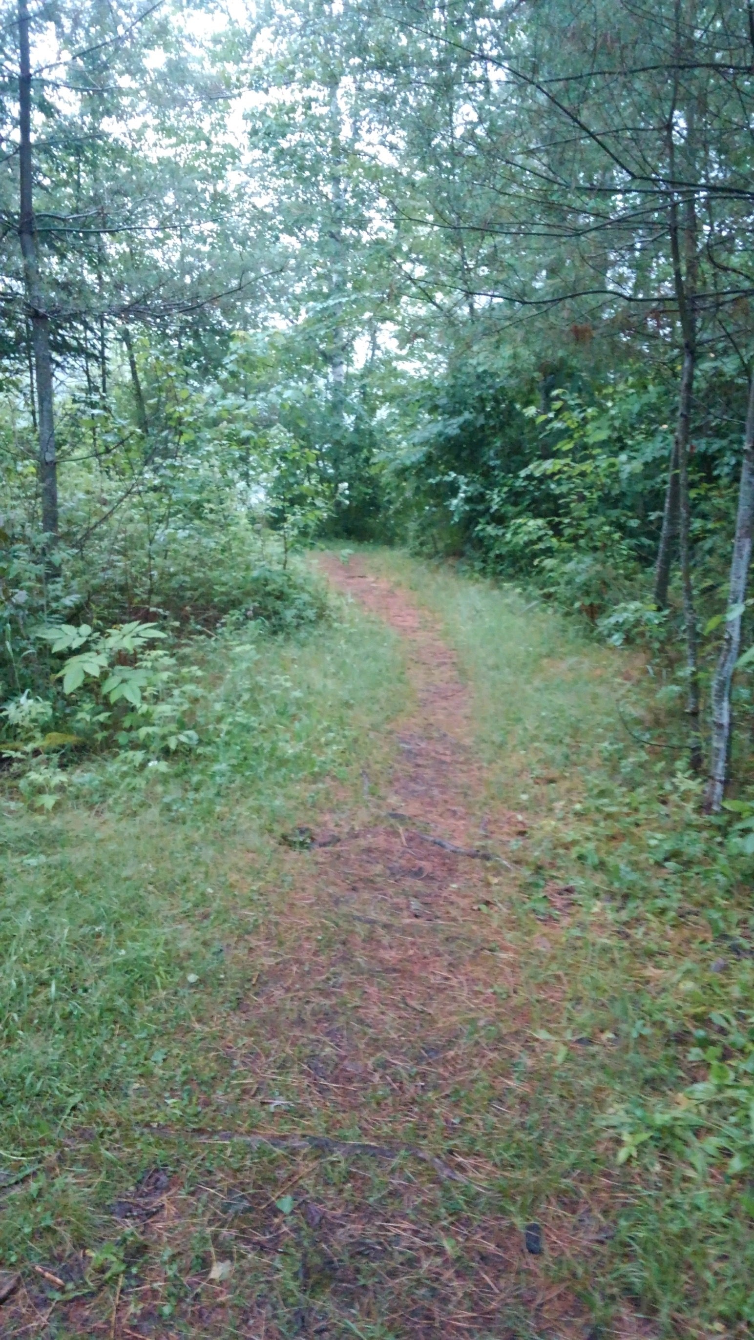 Path from the VT 102 parking area to the campsites