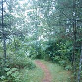 Review photo of Lyman Falls State Park Campground by Sarah C., July 12, 2020