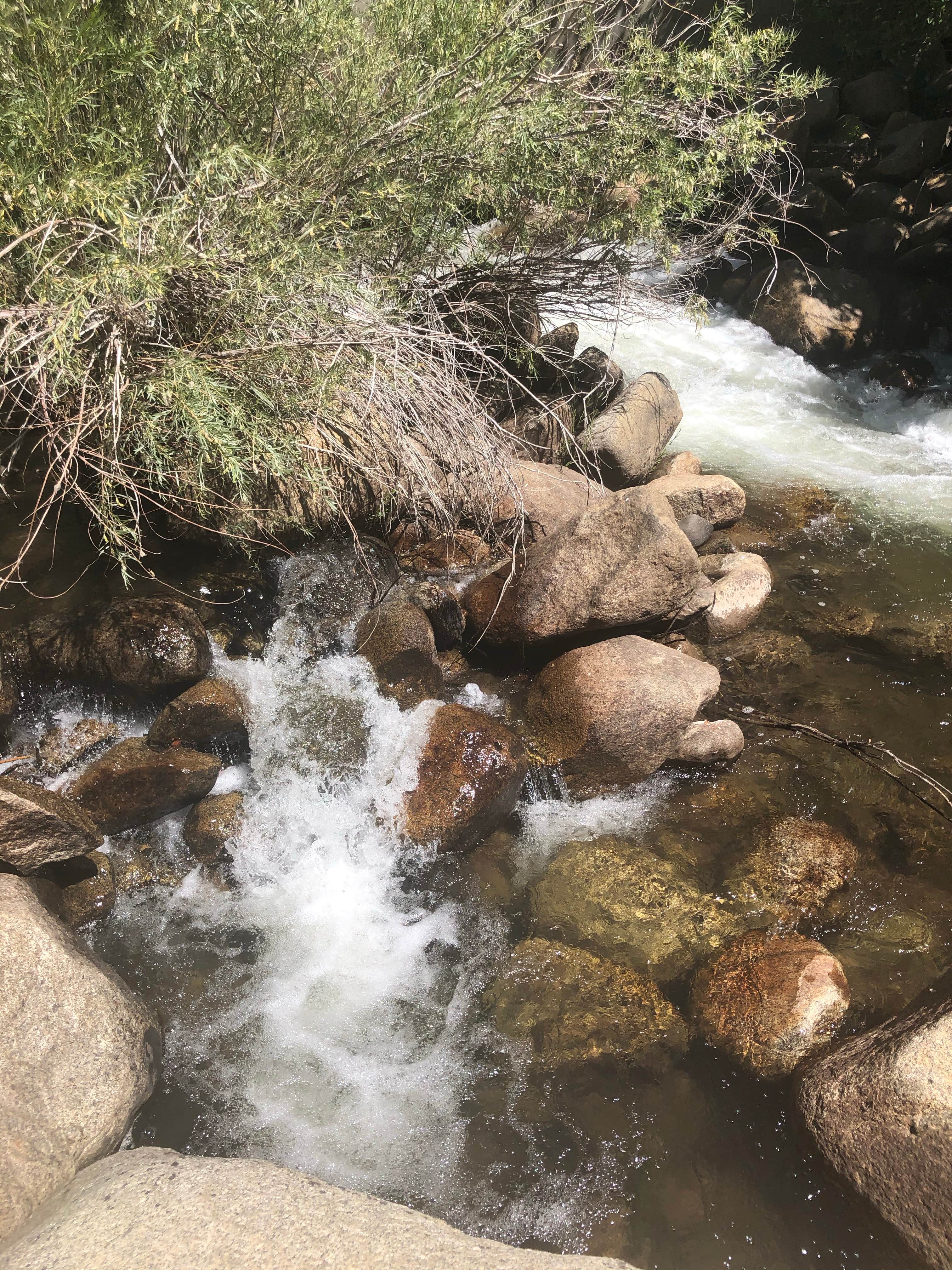 Camper submitted image from Crystal Springs Campground - 3