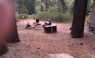 Robin S.'s photo at Crystal Springs Campground near Wellington, NV