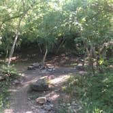 Review photo of Green Canyon Dispersed Campground by Lucille W., July 12, 2020