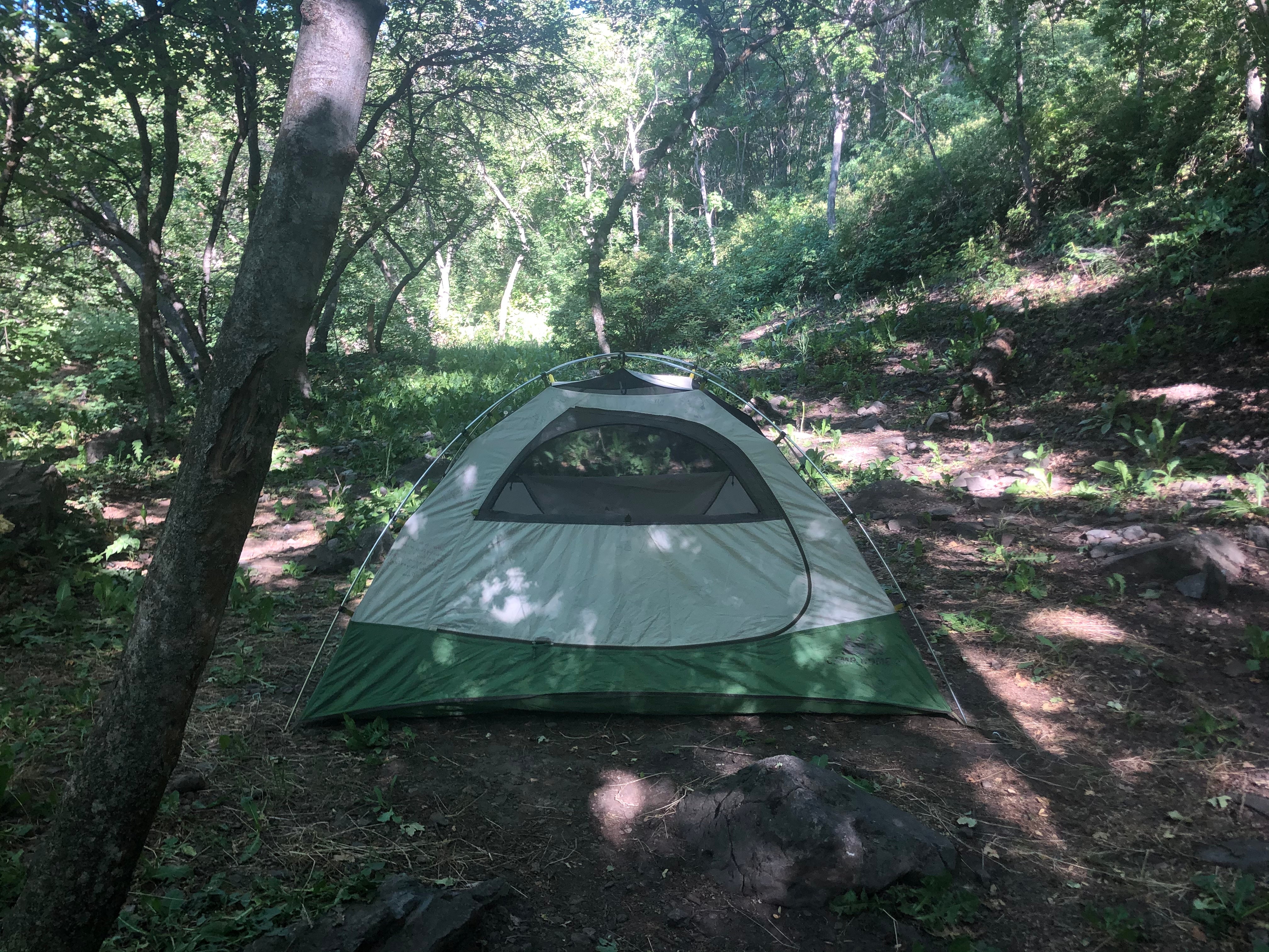 Camper submitted image from Green Canyon Dispersed Campground - 4