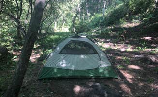 Lucille W.'s photo at Green Canyon Dispersed Campground near Wellsville, UT