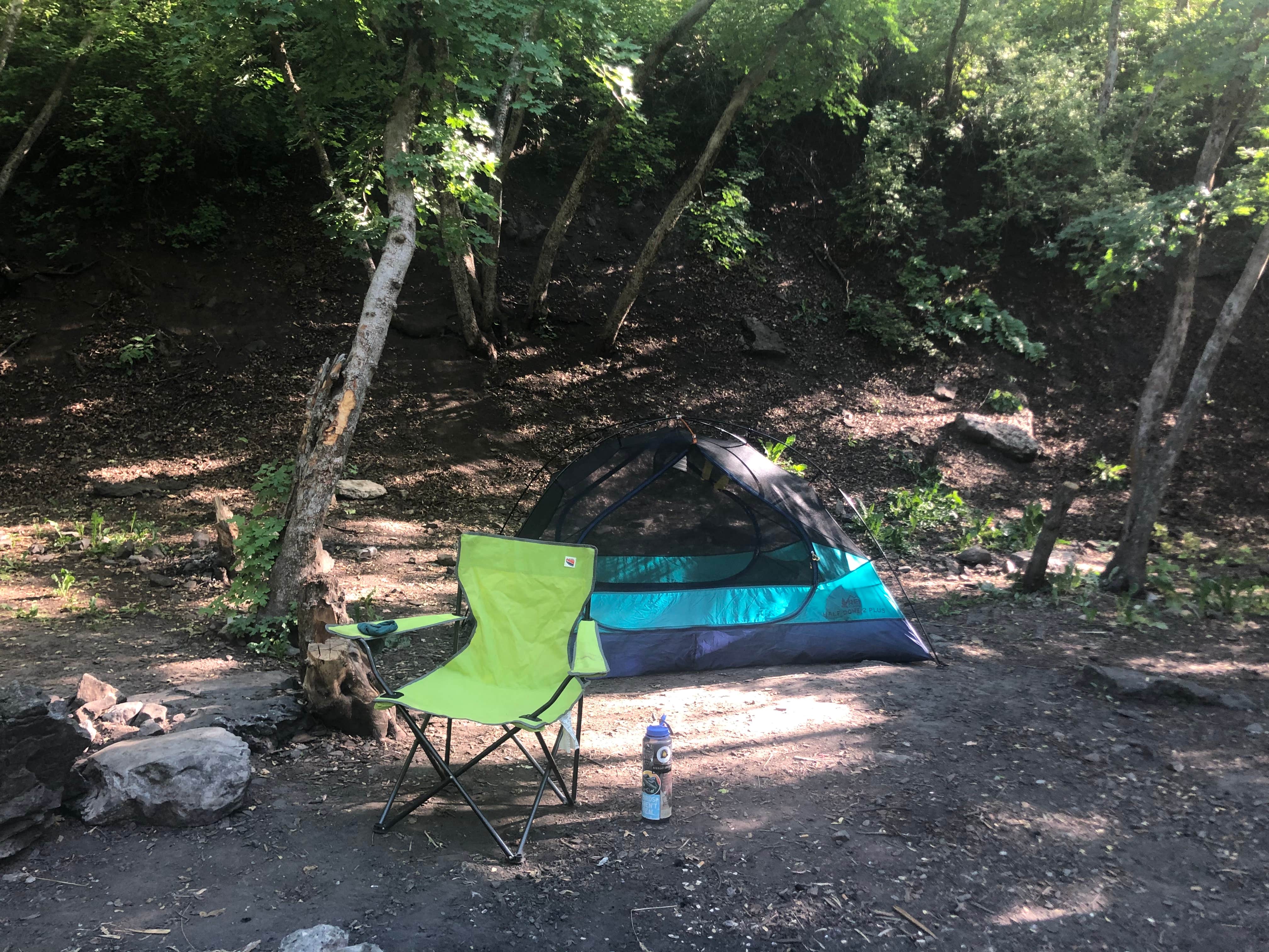 Camper submitted image from Green Canyon Dispersed Campground - 4