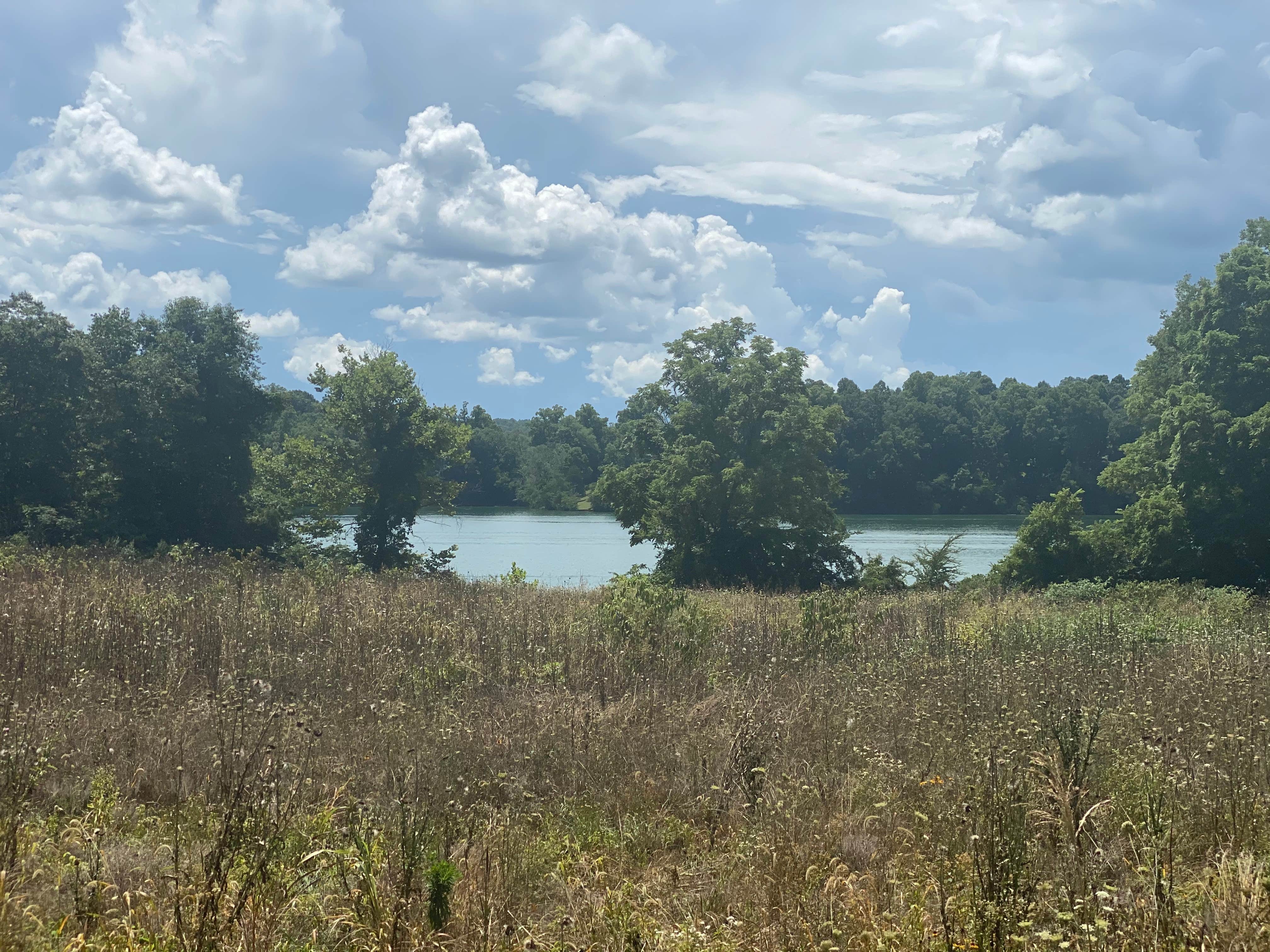 Camper-submitted photo at Chuck Swan State Forest near Rutledge, TN