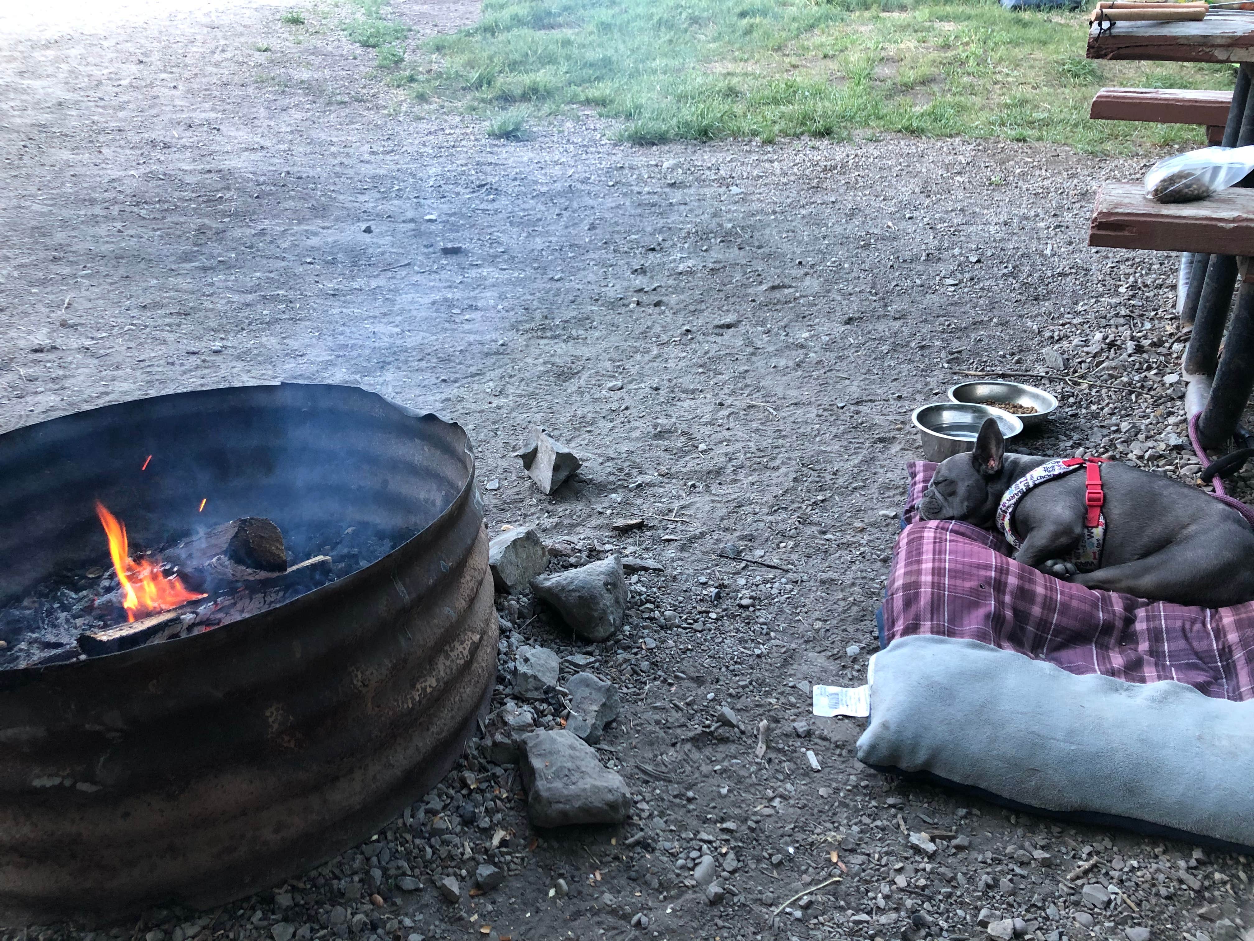 Camper submitted image from Clover Springs Campground — Salt Lake Field Office - 3