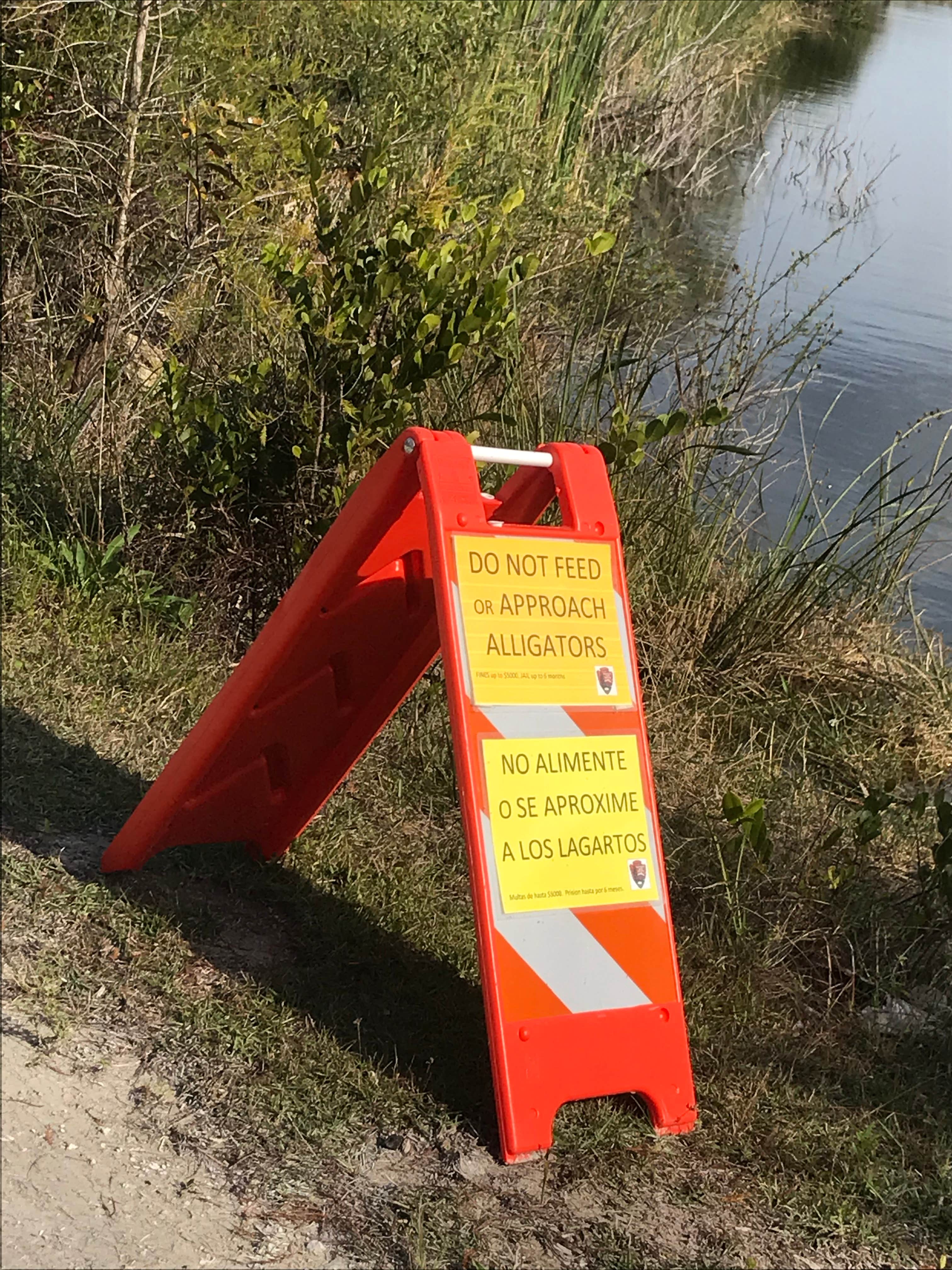 Camper-submitted photo at Monument Lake Campground — Big Cypress National Preserve near Big Cypress National Preserve