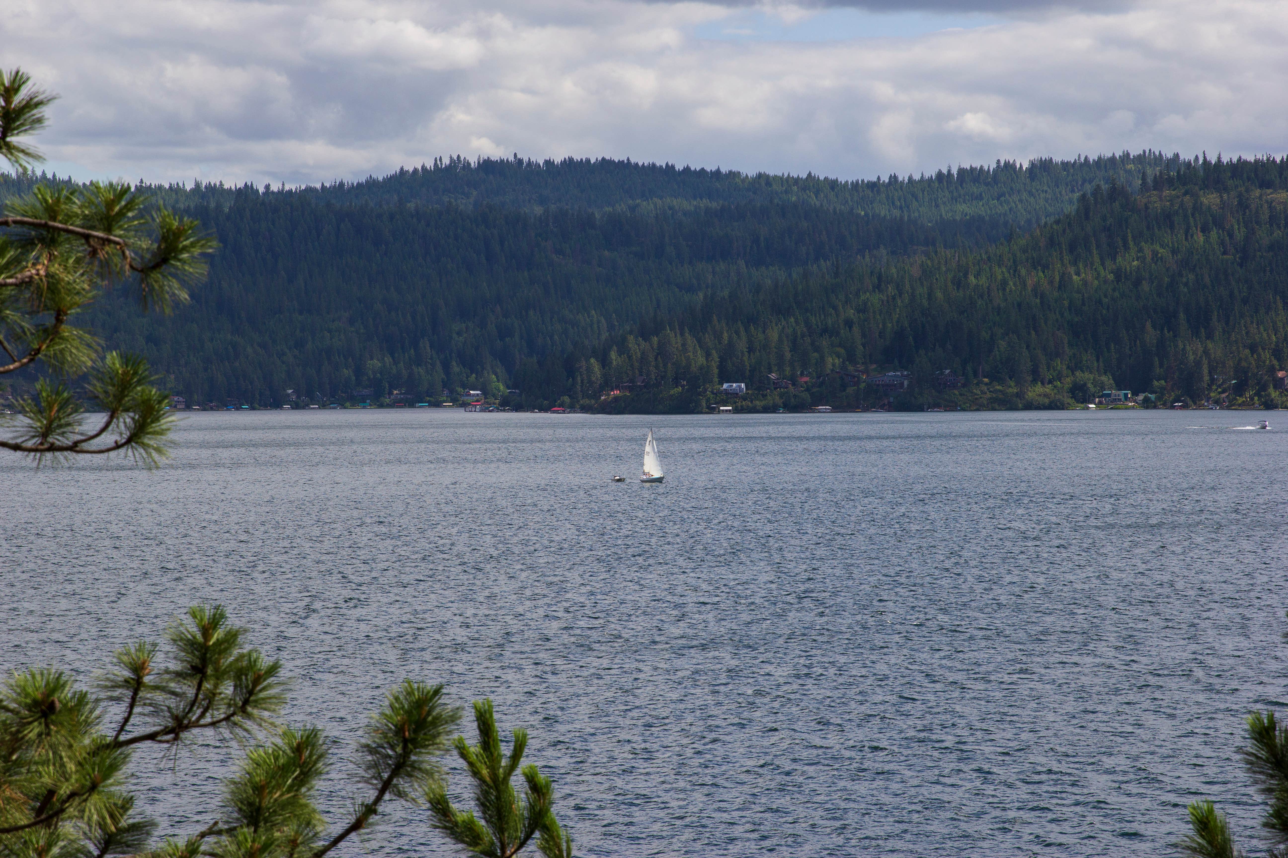 Camper submitted image from Bell Bay Campground - CLOSED - 5