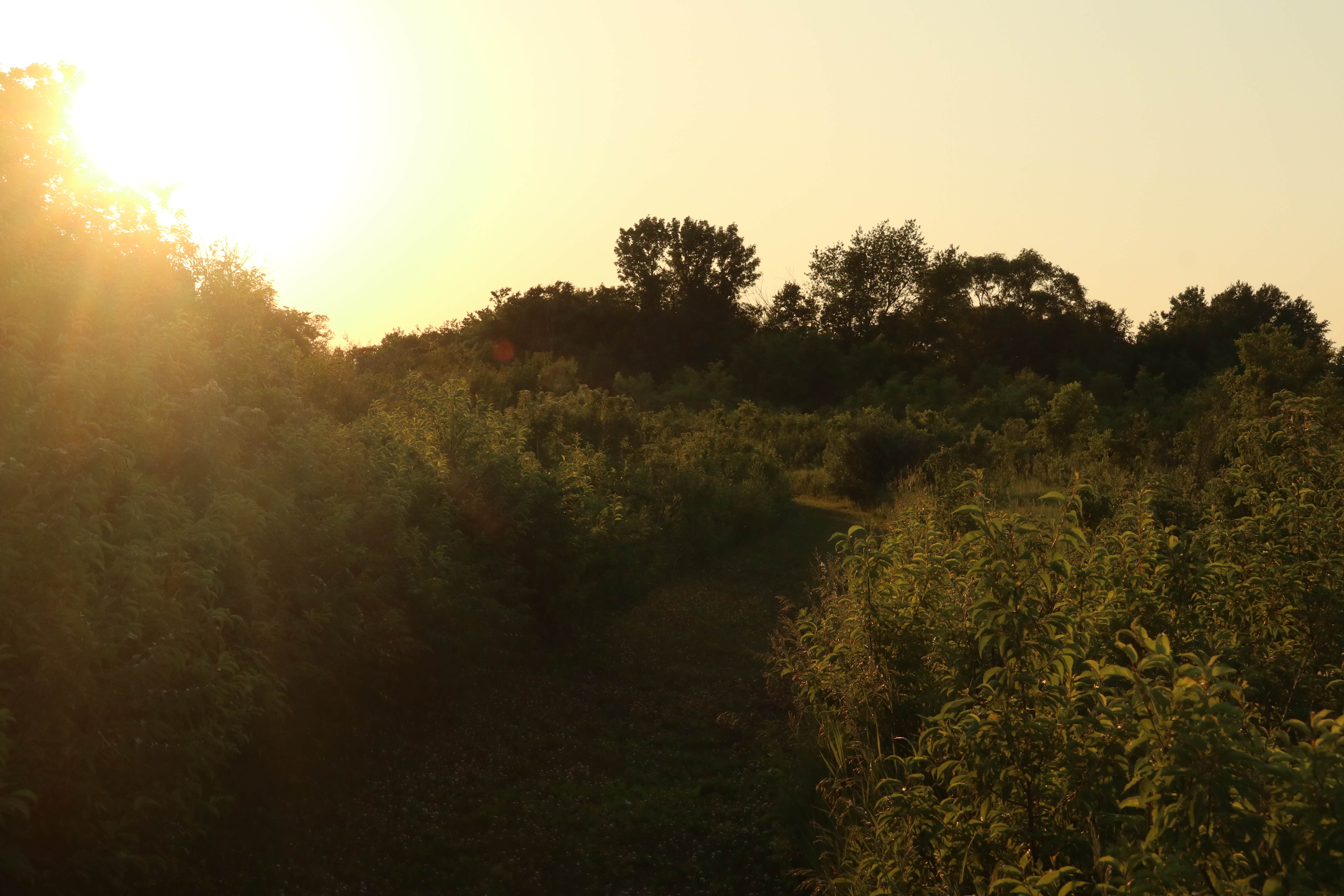 Camper submitted image from Wildwood Lake - 2