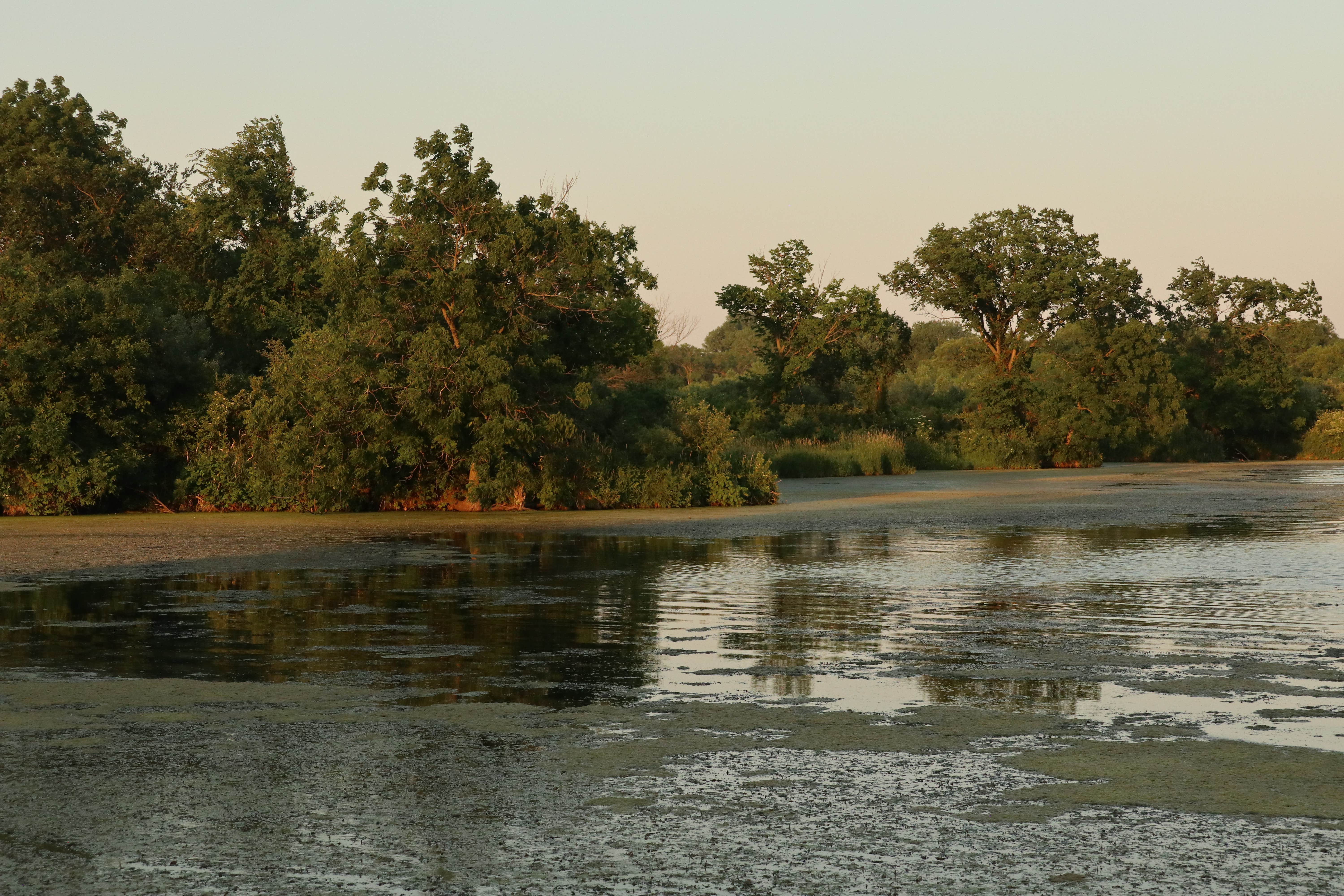 Camper submitted image from Wildwood Lake - 4