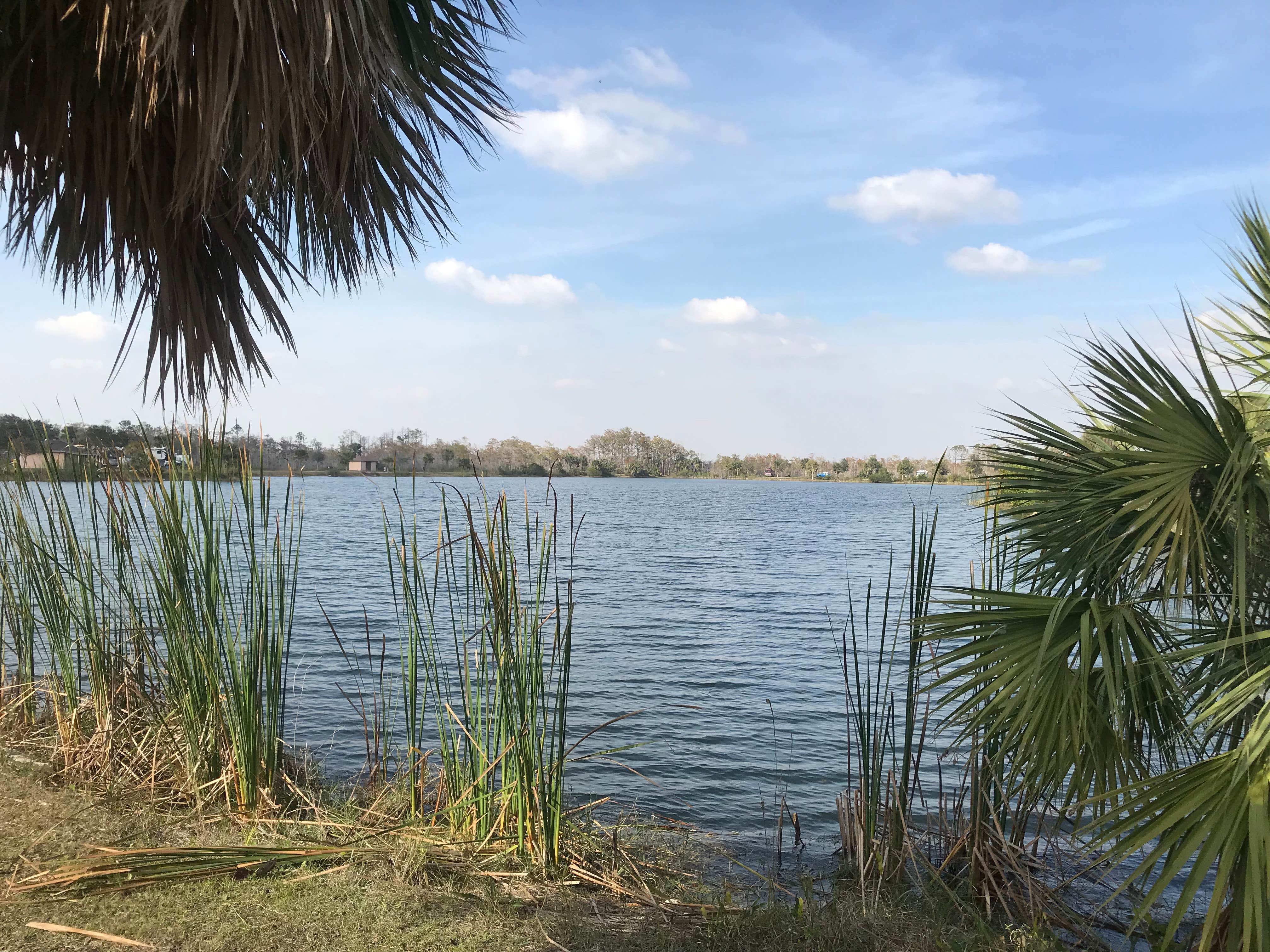 Monument Lake Campground — Big Cypress National Preserve Ochopee, FL