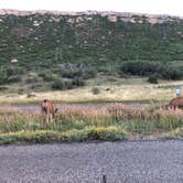 Review photo of Morefield Campground — Mesa Verde National Park by Thomas B., July 12, 2020